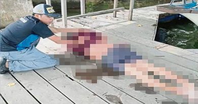 铁片刺穿腹部肠子外露 男子坠桥重伤送院