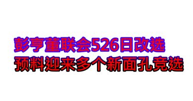 彭亨董联会526日改选    预料迎来多个新面孔竞选
