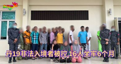 丹19非法入境者被控 16人坐牢6个月