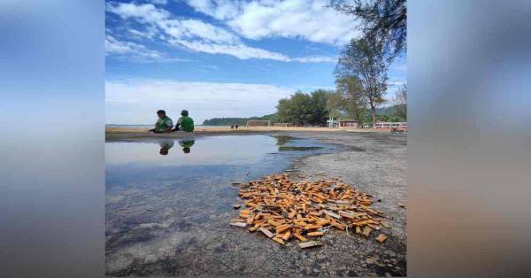 仅凭一人之力于半句钟捡到千个烟头，基惹直洛加弄海滩“大地烟灰缸”。