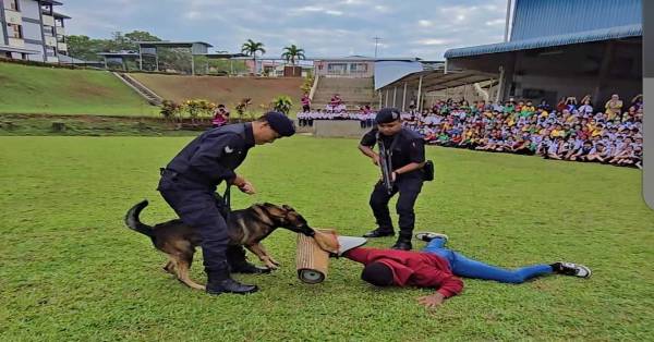 警犬向学生们展示如何迅速缉捕罪犯的英勇过程。