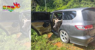 载牛休旅车弃路旁 传偷窃败露 警开档查