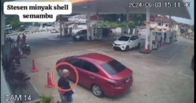 匪连车带母驾走轿车     嫌犯今早落网