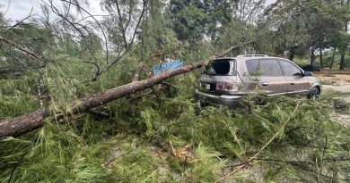 午後暴风雨袭关丹    吹倒摊档 树倒压车