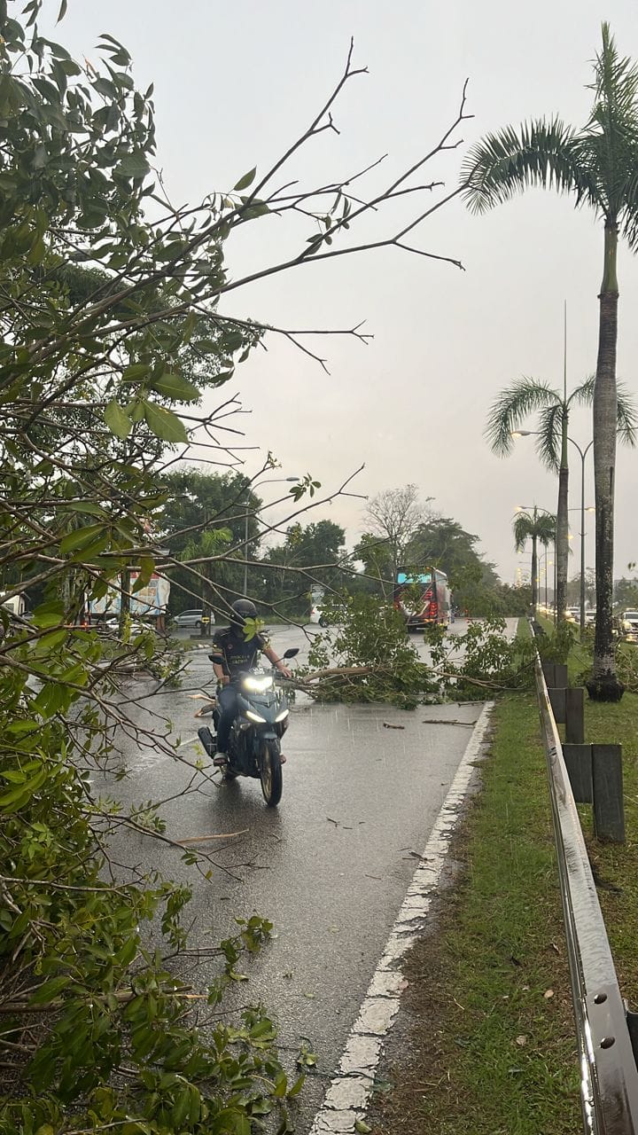 关丹市因一场强风暴雨侵袭引发19宗树倒栏路、砸毁财物事件。