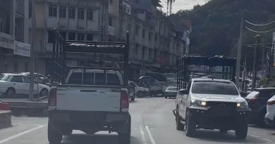 蔡依锰：减轻菜农压力 柴油补贴年销售门槛 应调高