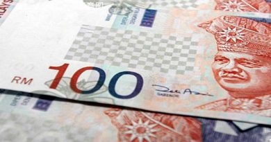 误信假股票投资骗局     榴梿农被骗逾20万