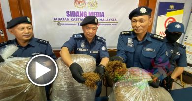看视频｜起3980公斤漏税干烟草 丹关税局扣留2男助查