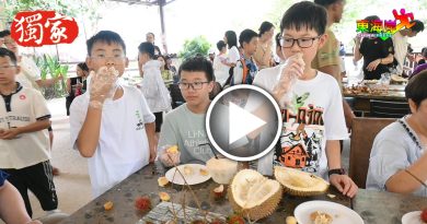 独家丨农场研学旅游 有趣味  逾300中国师生 啖果王