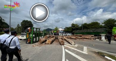 视频丨等红绿灯 滚落树桐压伤女骑士