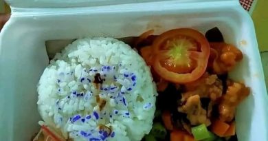 饭盒印章融化   染白饭   网友抨不卫生