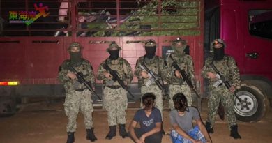 大马步兵哥乐河取缔 扣捕2走私树苗男子