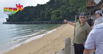 苏丹：工程须考量环境 规划刁曼岛维护大自然