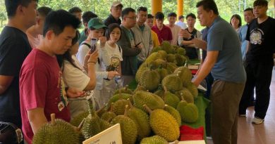 今日东海岸丨吸引中港狮城老饕 劳勿榴槤园生态游  旺!