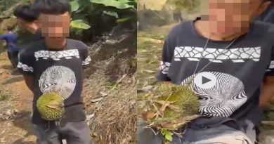 华裔男子偷榴槤被逮 颈挂榴槤 交警察查办