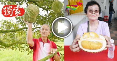 黑刺价格高潜能大  园主纷改种植