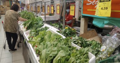 进口西兰花花椰菜略涨    本地菜丰收 跌价