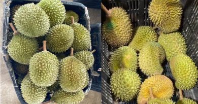 司机下错货 摊主随便还 榴槤   调包    B果变C果