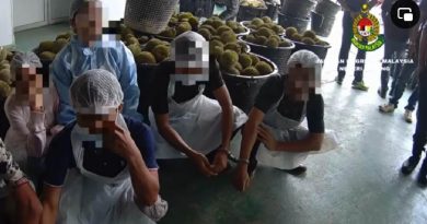 劳勿立卑关丹大取缔 彭移民局扣36非法外劳