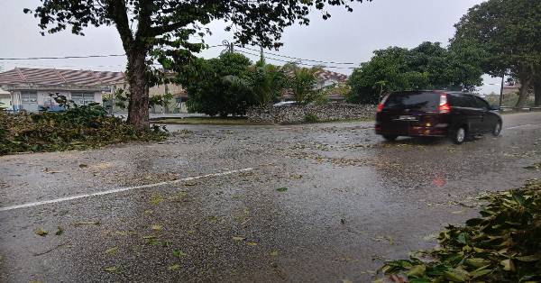 关丹市多个住宅区在暴风雨来袭时，发生大树倒塌意外。