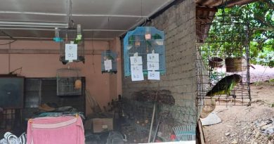 野生动物局官员展开行动    破2宗 私藏受保护鸟
