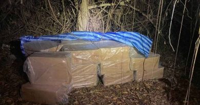 30万根私烟藏草丛中  警方缉获悉数充公