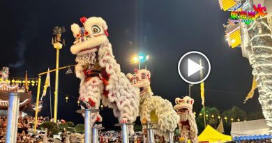 视频｜关丹斗母宫庆九皇爷诞     建造行醒狮团表演跳桩