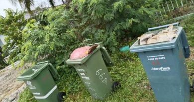 住宅区垃圾堆逾一周      居民促百乐SWCorp清理