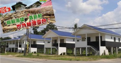 独家丨树桐海啸险灭村　政府助重建房屋　双溪必得新村 重生