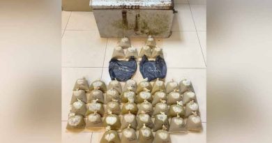 彭佳兰芝柏警方突击甘榜 捉3男起42包葛冬水