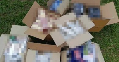 关税局捣道北非法渡头 起逾2万走私化妆品