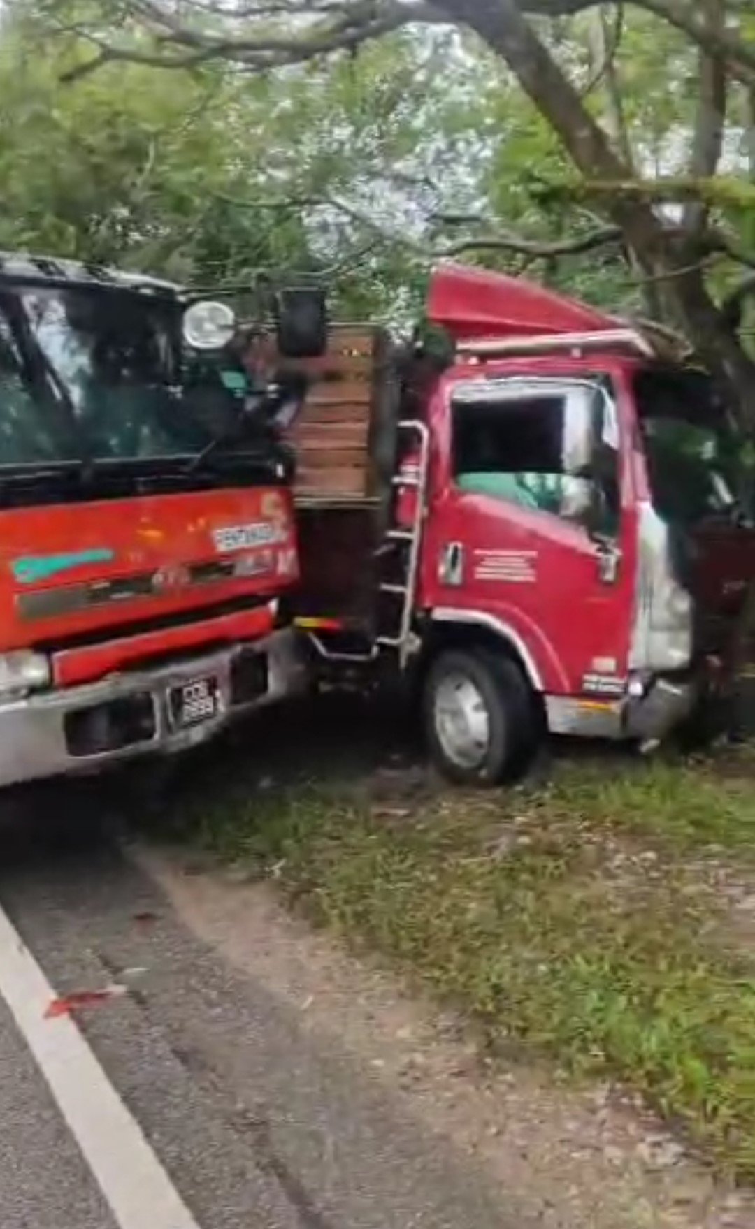 其中两辆遭殃的罗厘先后失控冲撞到路旁后，因卡在大树处阻去冲势。