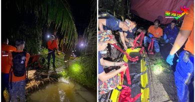 消拯队穿越森林 协助警方抬出尸体