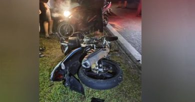 摩哆撞牛  骑士身亡