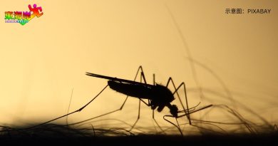 卫生局：截至本月9日 丹今年蚊症已夺3命