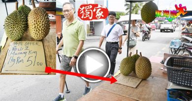 雨季 猫山王老饕不来  市场一片冷清