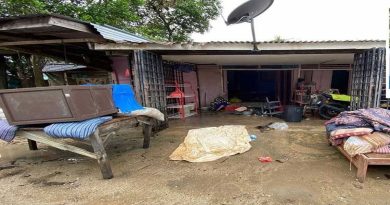 300头牛逾百羊鸡鸭淹死  3甘榜损失逾10万