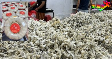 毛燕价格下跌 带旺燕窝产品销量    放眼带旺新年燕窝礼品