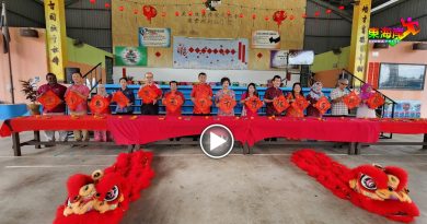 视频丨孙诗传：传承和平包容理念    农历新年   拉近各族人民