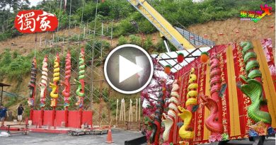 蛇来运转丨独家丨 旧玻璃口财神庙首创  五色蛇香  迎蛇年