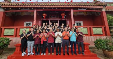 张灯结彩迎蛇年     关丹天后宫  新年好去处