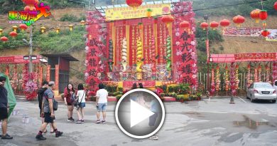 蛇来运转丨财神庙五色大蛇香  吸引民众拍照打卡 　