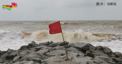 发布强风巨浪黄色警报 丹登沿海地区升红旗