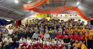 关丹玉佛山醒狮学院     迎新祥龙和9头醒狮