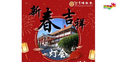 庆祝乙巳年的来临    彭亨佛教会张挂3000灯笼