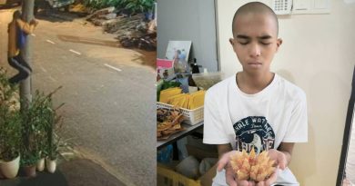 寄宿佛堂．要找自由 14岁少年   攀灯柱出走