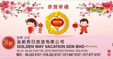 蛇年贺语丨金航假日旅游有限公司