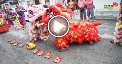 蛇来运转丨任何采青阵 难不倒我！ 金英坛龙狮体育会报福