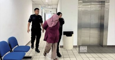 家庭主妇被控偷窃罪成     监两个月  罚款1000