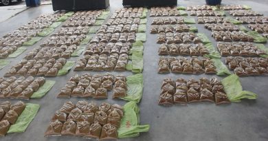 牛棚藏葛冬水  警捉4男助查